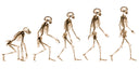 It’s a fact that our feet (as a species) are getting bigger